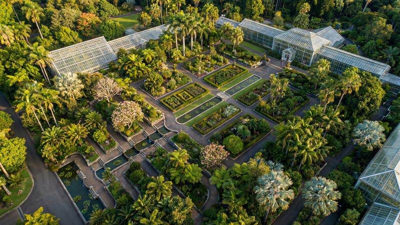 爱情岛植物园视频